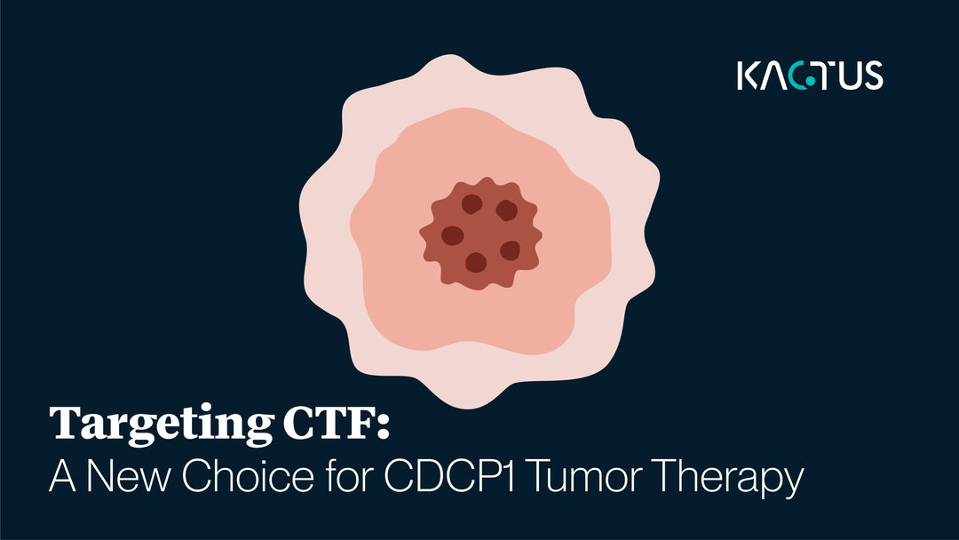 Targeting CTF: A New Choice for CDCP1 Tumor Therapy