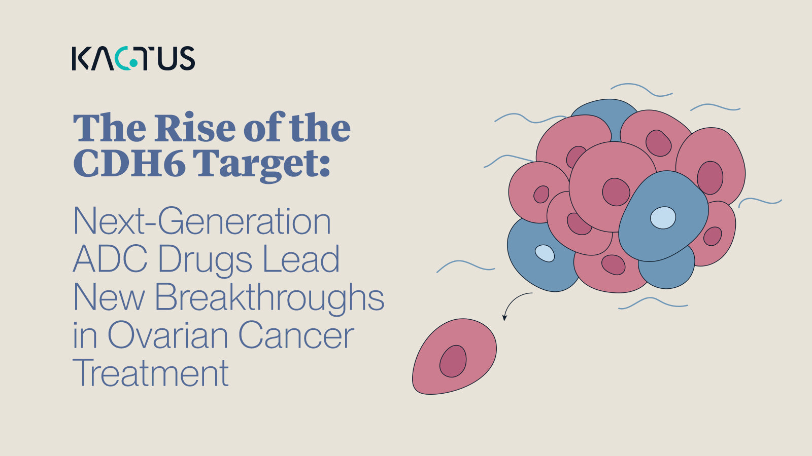 The Rise of the CDH6 Target: Next-Generation ADC Drugs Lead New Breakthroughs in Ovarian Cancer Treatment