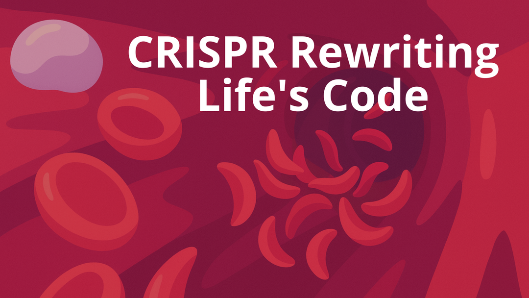 Rewriting Life's Code: CRISPR Precisely Edits Blood Disorder Defects