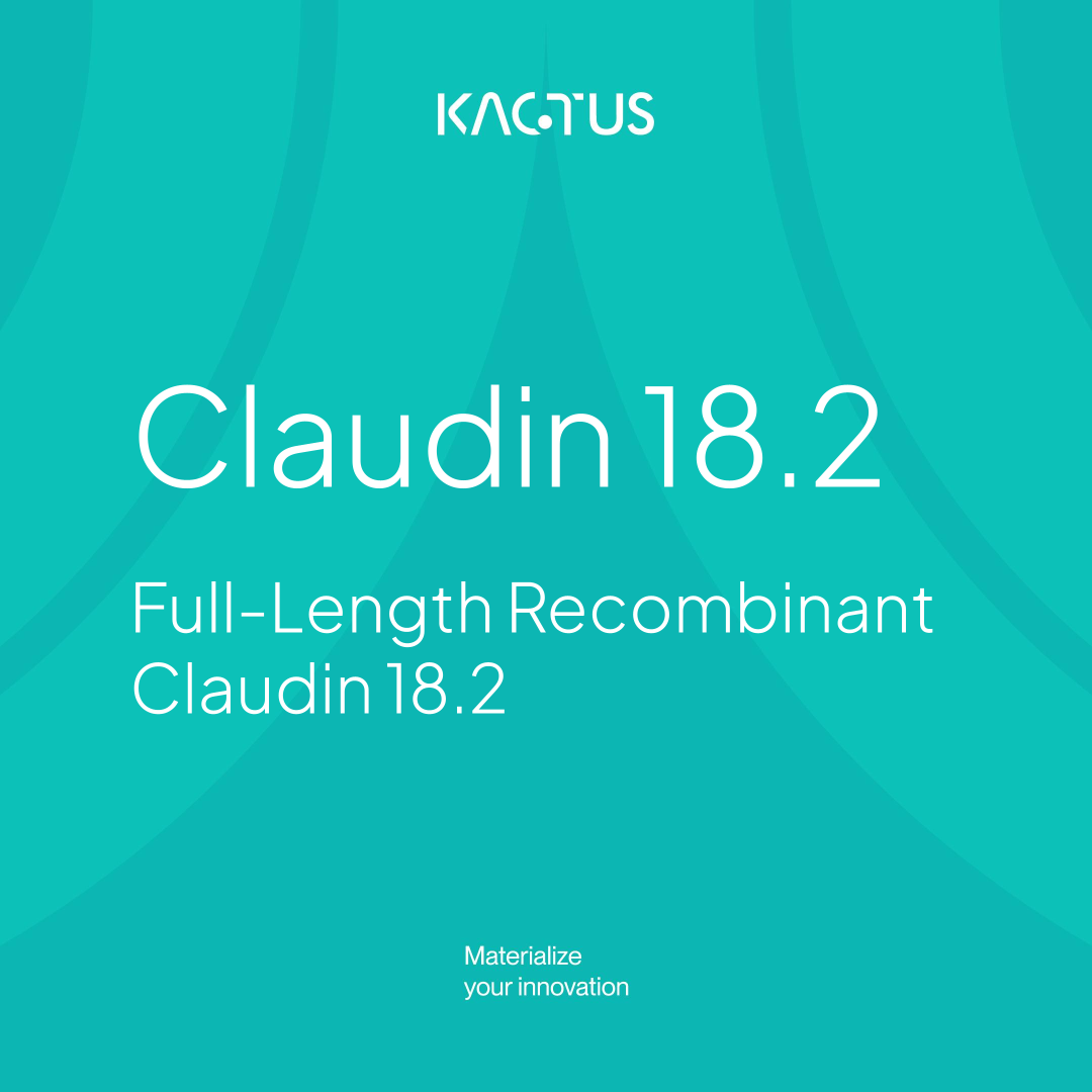 Claudin 18.2