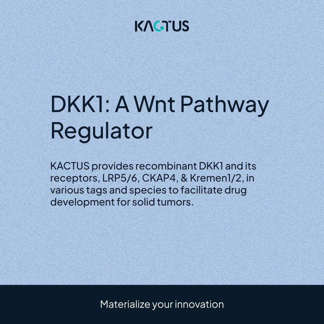 DKK1: A Wnt Pathway Regulator
