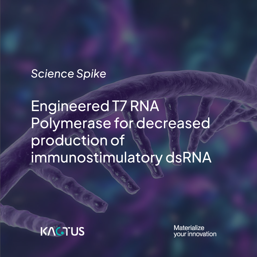 Engineered T7 RNA Polymerase to Reduce dsRNA