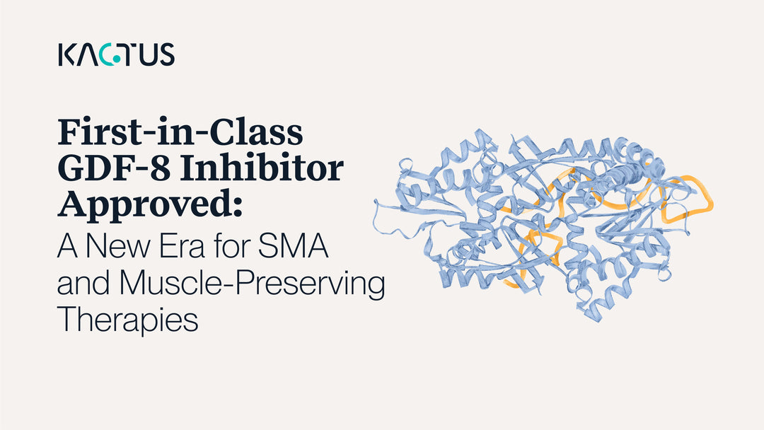 First-in-Class GDF-8 Inhibitor Approved: A New Era for SMA and Muscle-Preserving Therapies