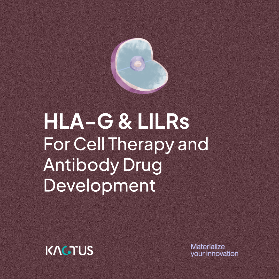 Cell and antibody therapies targeting HLA-G