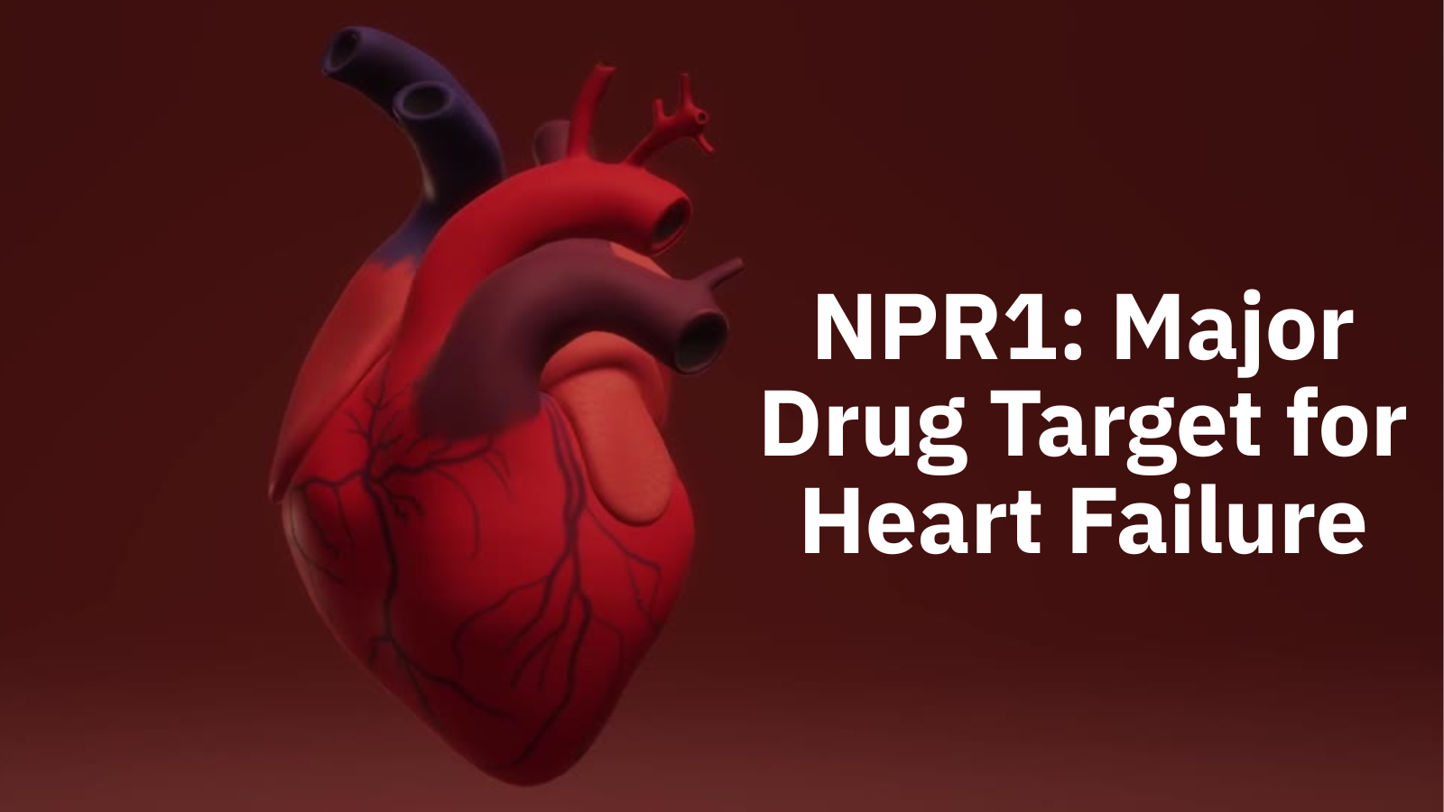 NPR1: Major Drug Target for Heart Failure