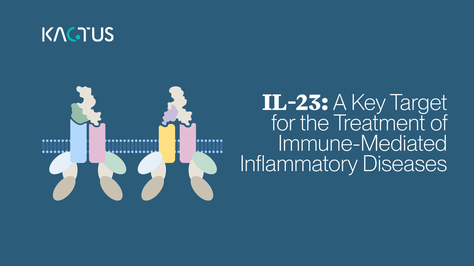 IL-23: A Key Target for the Treatment of Immune-Mediated Inflammatory Diseases