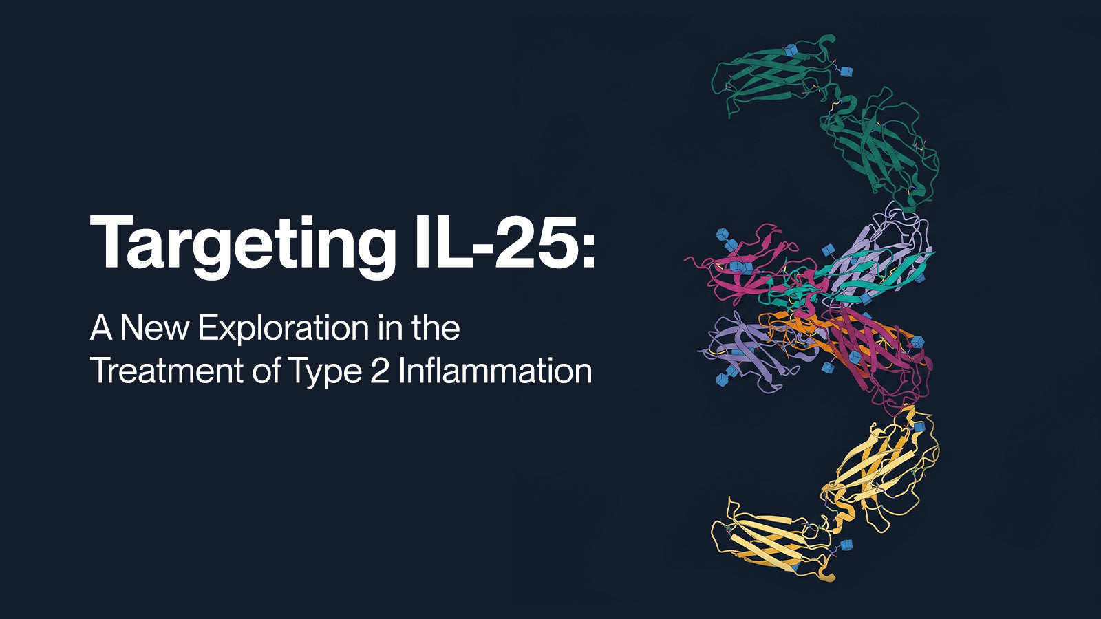 Targeting IL-25: A New Exploration in the Treatment of Type 2 Inflammation