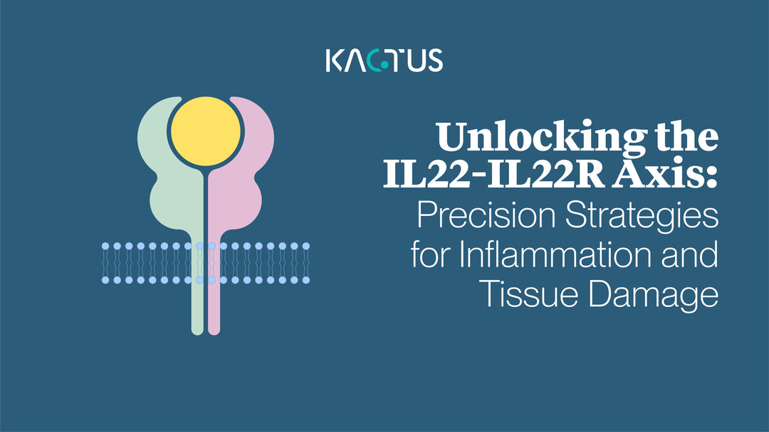 Unlocking the IL22-IL22R Axis: Precision Strategies for Inflammation and Tissue Damage