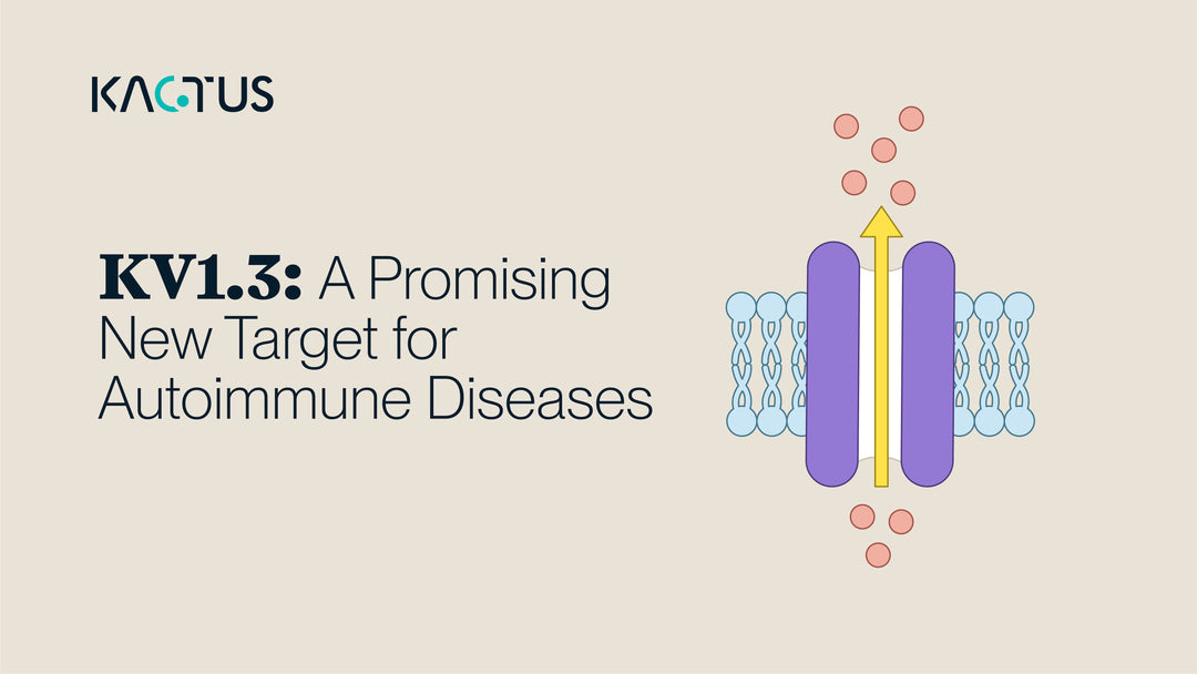 Kv1.3: A Promising New Target for Autoimmune Diseases