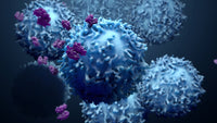 TM4SF1 in Cancer Immunotherapy: Emerging Research and Clinical Potential