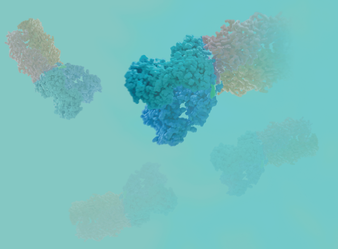 MHC Class I and II Tetramers and Antigen-Specific T-Cells