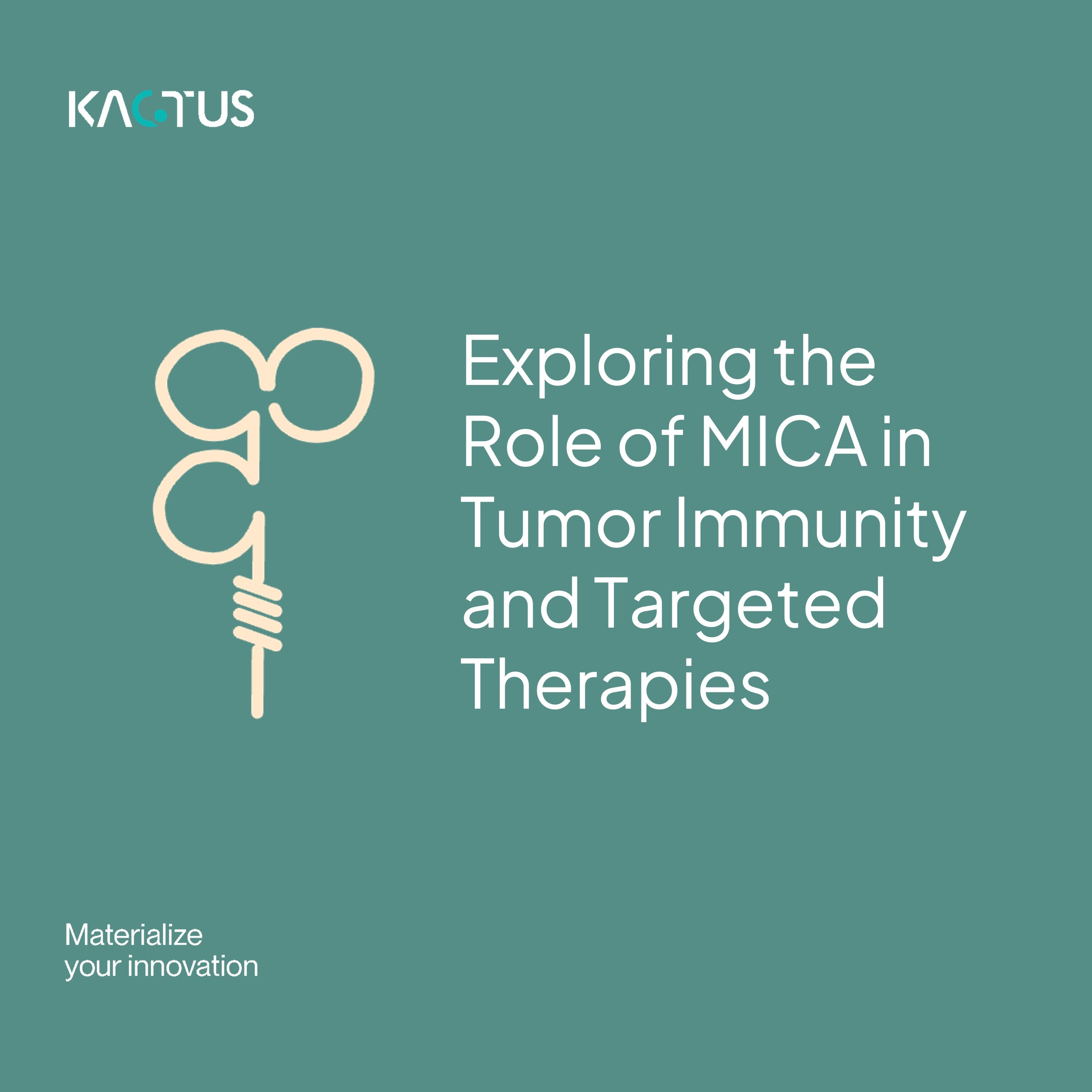 Exploring the Role of MICA in Tumor Immunity and Targeted Therapies