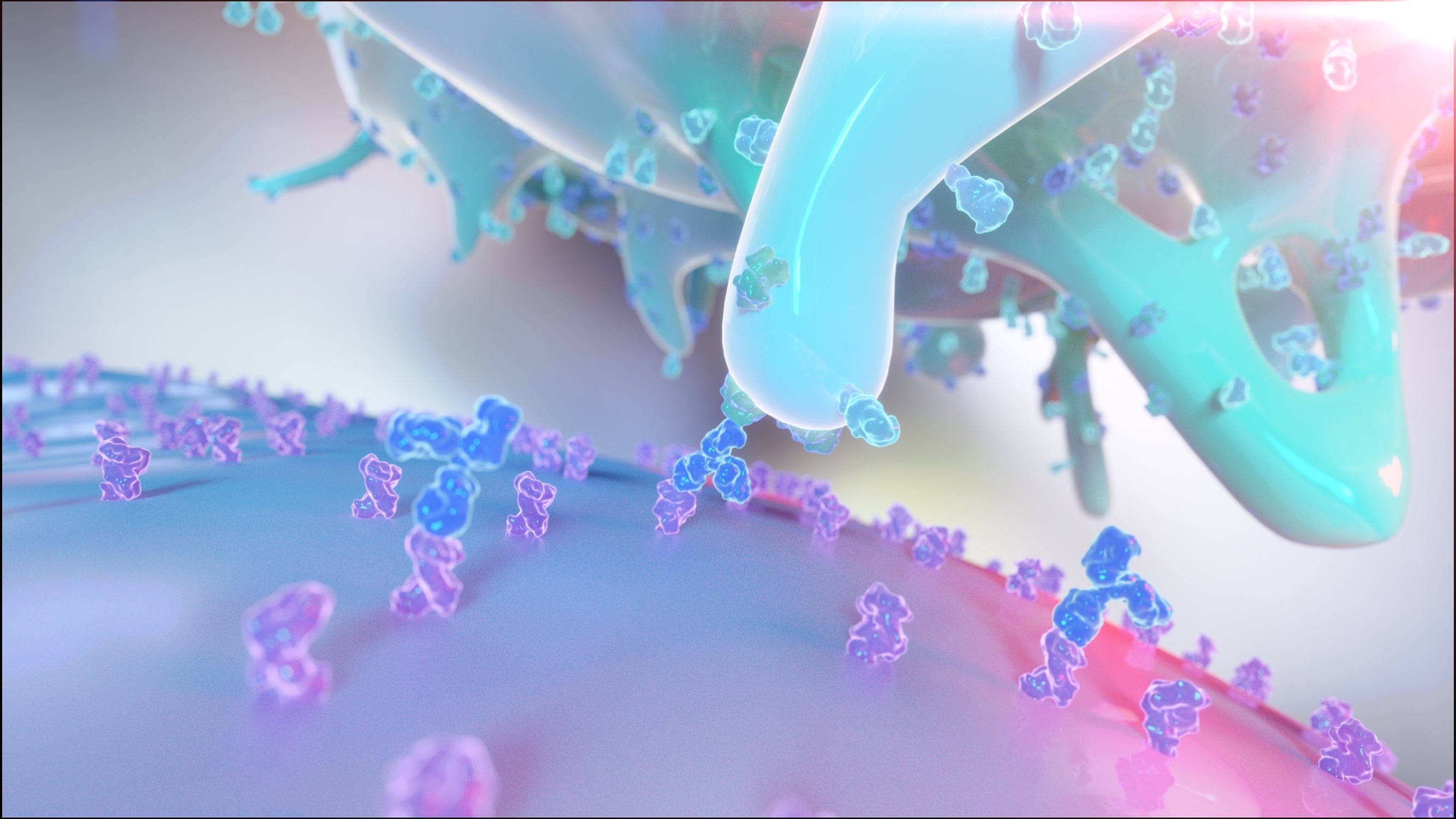 Rethinking Refolding: The Case for Mammalian-Expressed Single-Chain Trimer MHCs