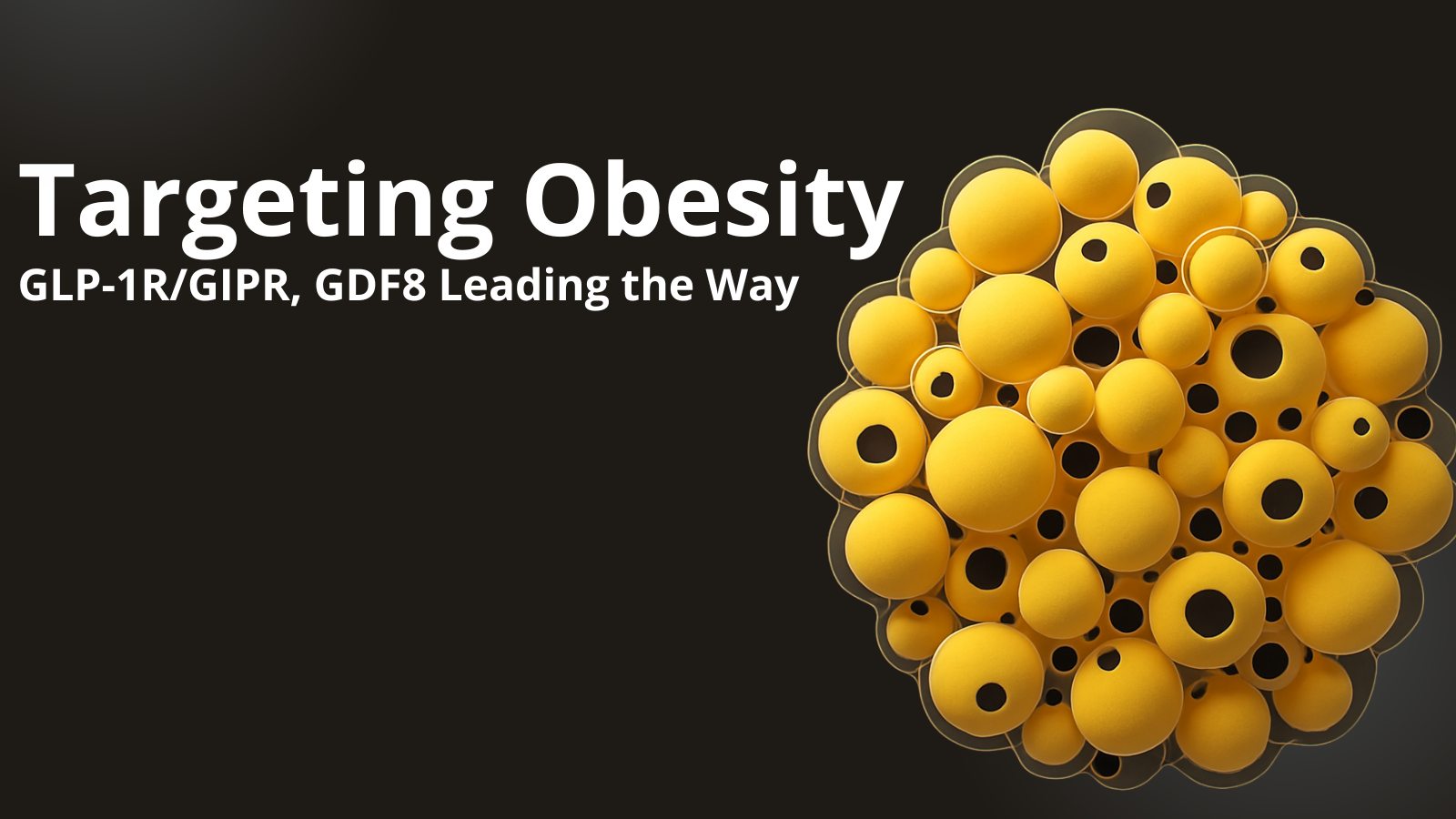 Targeting Obesity: GLP-1R/GIPR, GDF8 Leading the Way