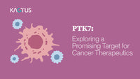 PTK7: Exploring a Promising Target for Cancer Therapeutics