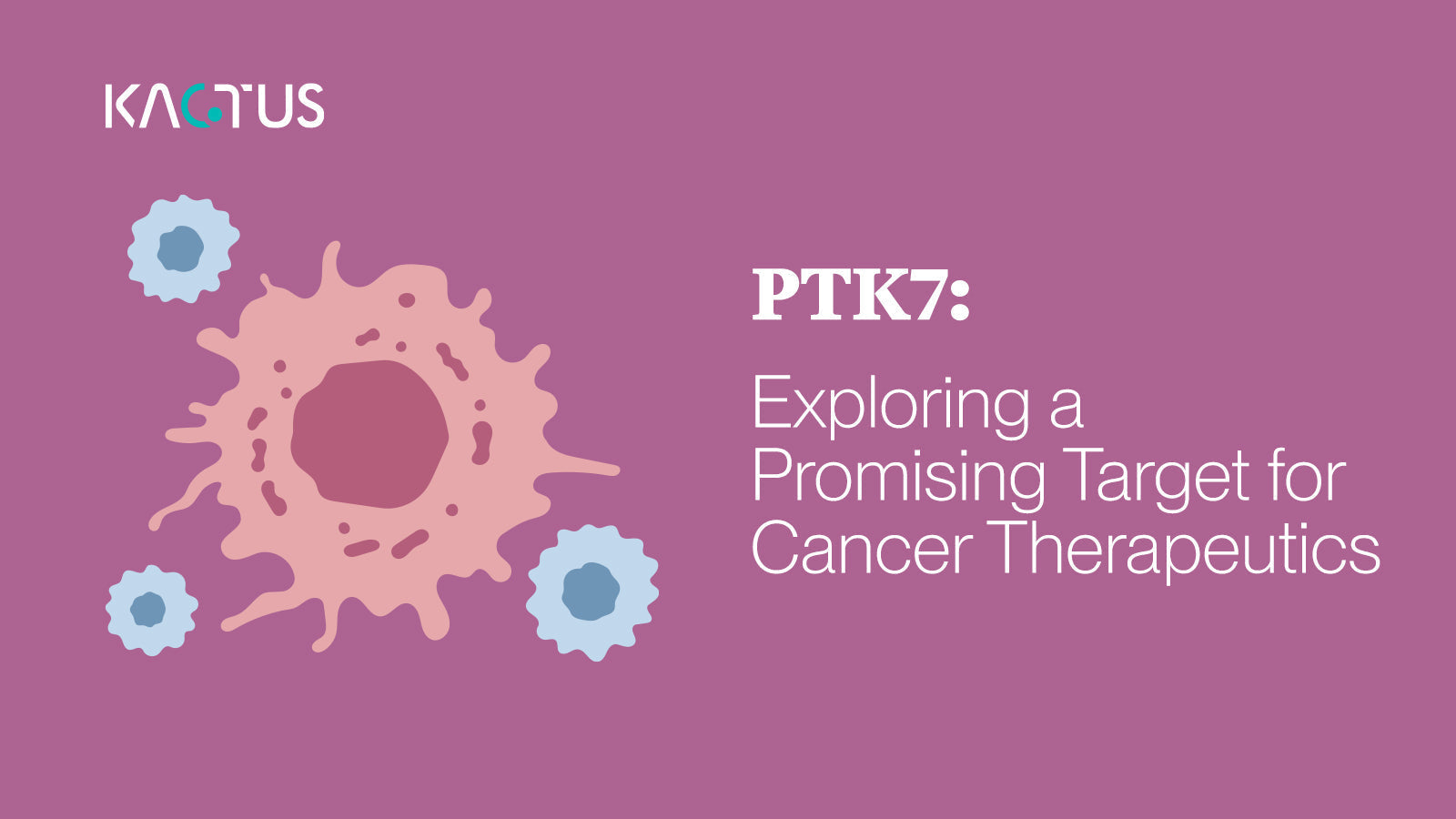 PTK7: Exploring a Promising Target for Cancer Therapeutics