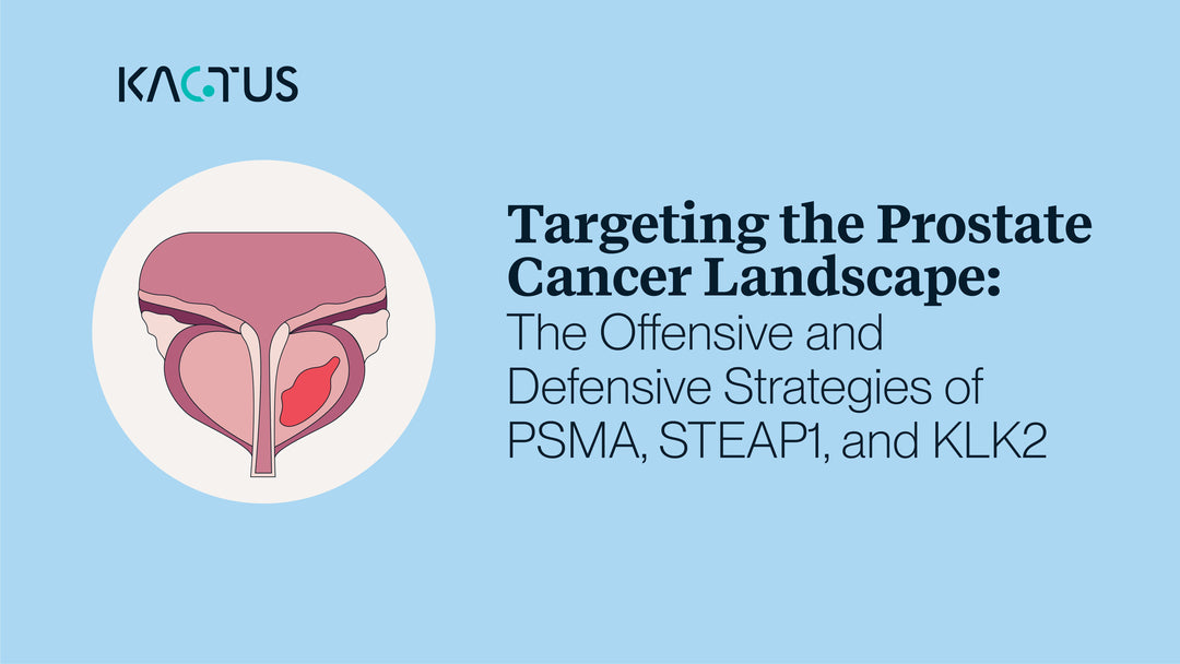 Targeting the Prostate Cancer Landscape: The Offensive and Defensive Strategies of PSMA, STEAP1, and KLK2