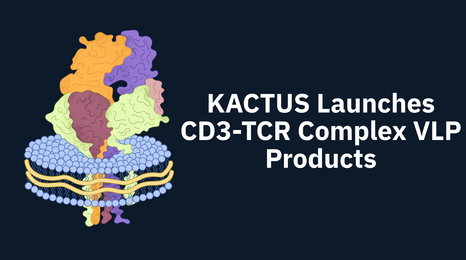 KACTUS Launches CD3-TCR Complex VLP Products