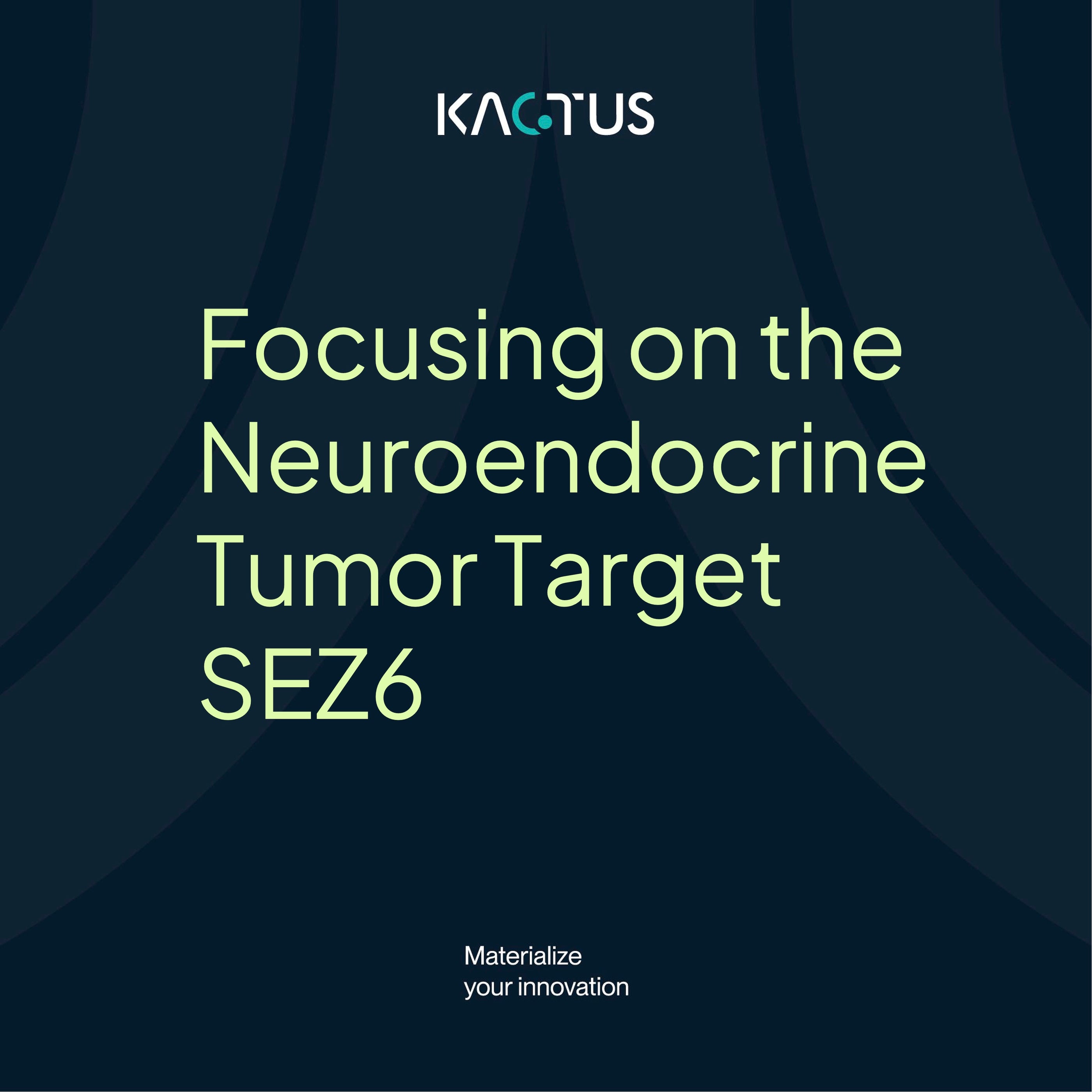 Focusing on the Neuroendocrine Tumor Target SEZ6