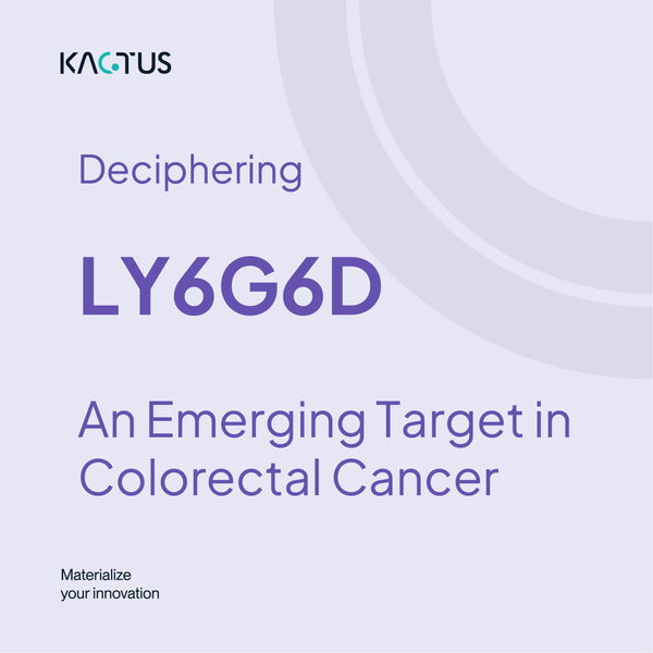 Deciphering LY6G6D - An Emerging Target in Colorectal Cancer