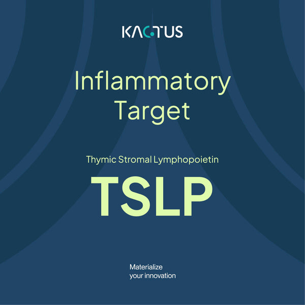 Inflammatory Target: TSLP
