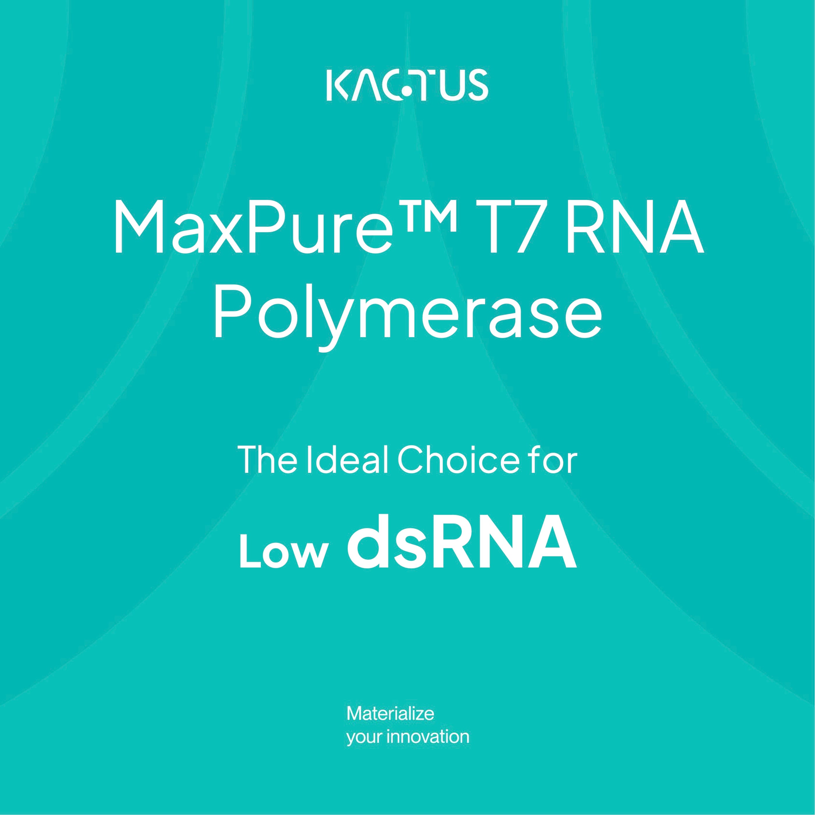 The Ideal Choice for Low dsRNA: MaxPure™ T7 RNA Polymerase