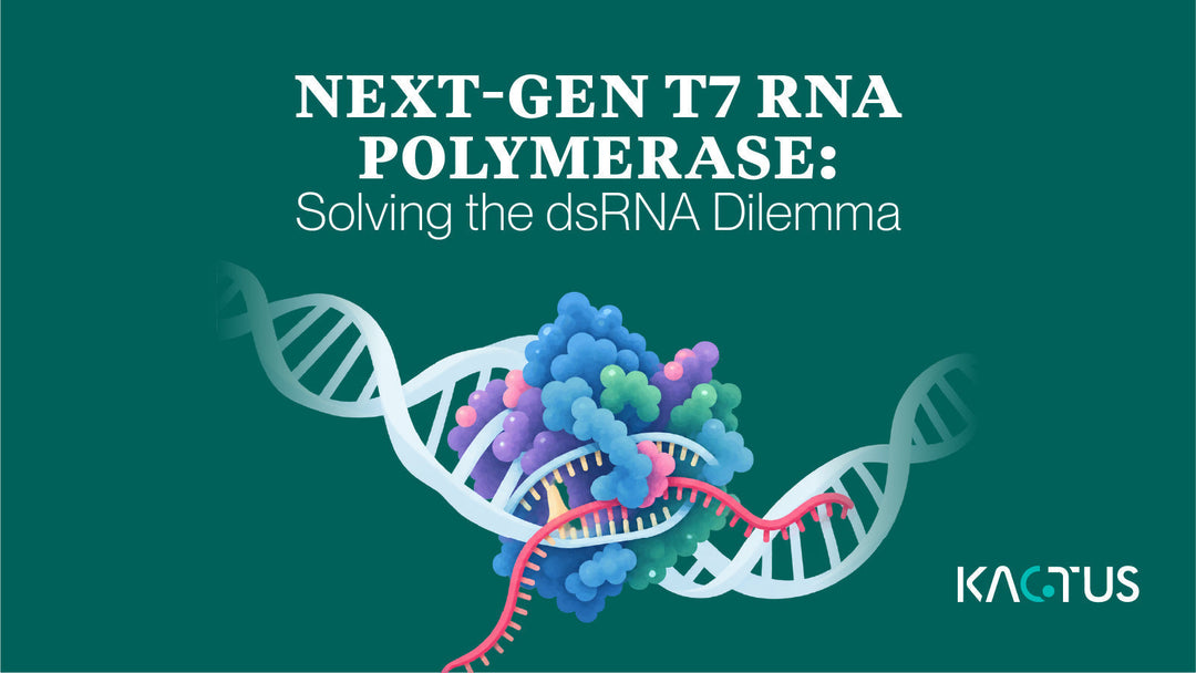 Next-Gen T7 RNA Polymerase: Solving the dsRNA Dilemma