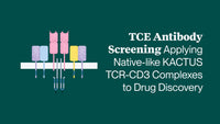 TCE Antibody Screening Applying Native-like KACTUS TCR-CD3 Complexes to Drug Discovery