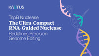 TnpB Nuclease, The Ultra-Compact RNA-Guided Nuclease Redefines Precision Genome Editing