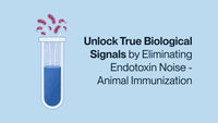Unlock True Biological Signals by Eliminating Endotoxin Noise - Animal Immunization