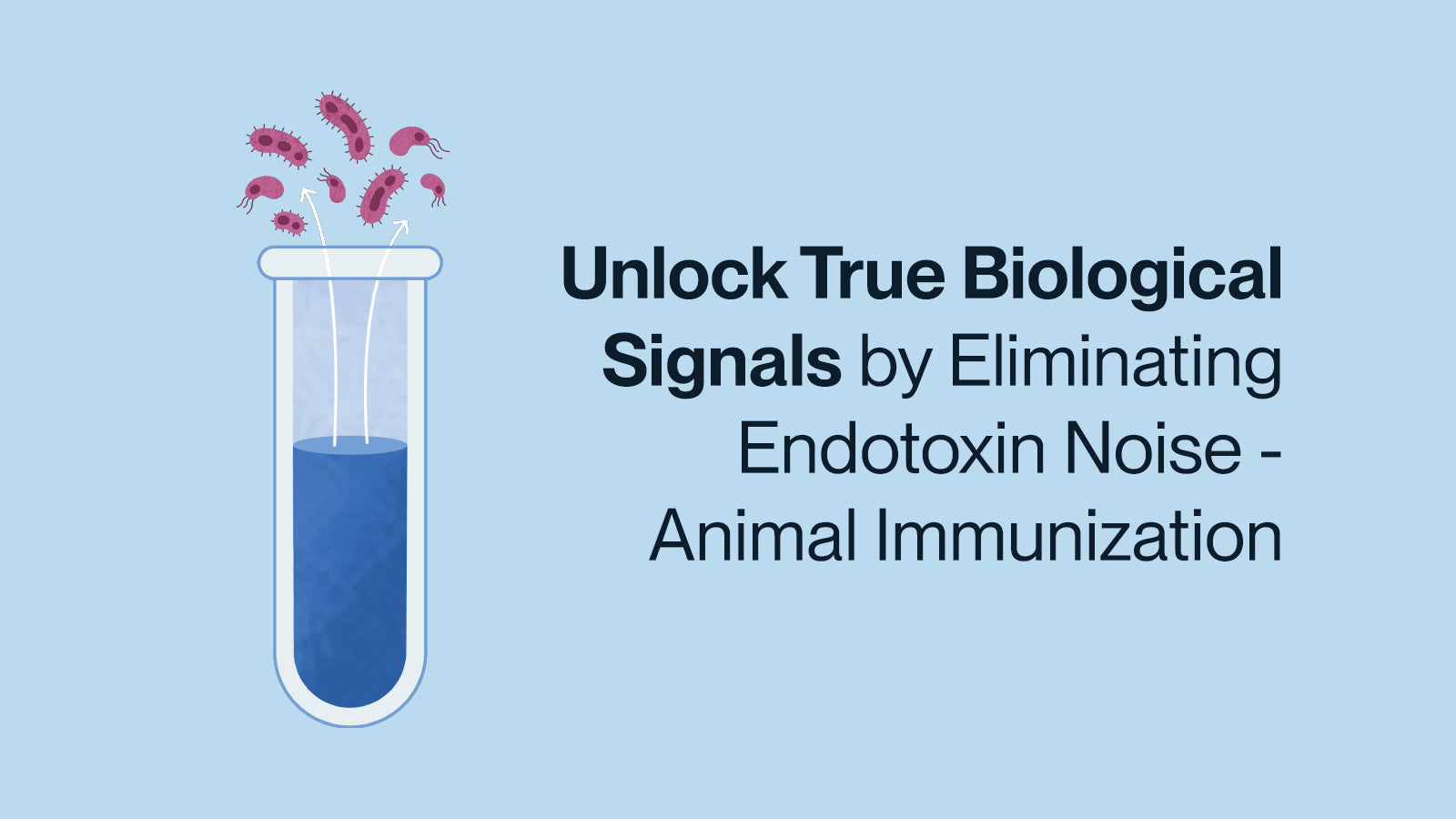 Unlock True Biological Signals by Eliminating Endotoxin Noise - Animal Immunization