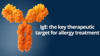 IgE:  The Key Therapeutic Target for Allergy Treatment