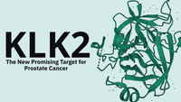 KLK2: The New Promising Target for Prostate Cancer