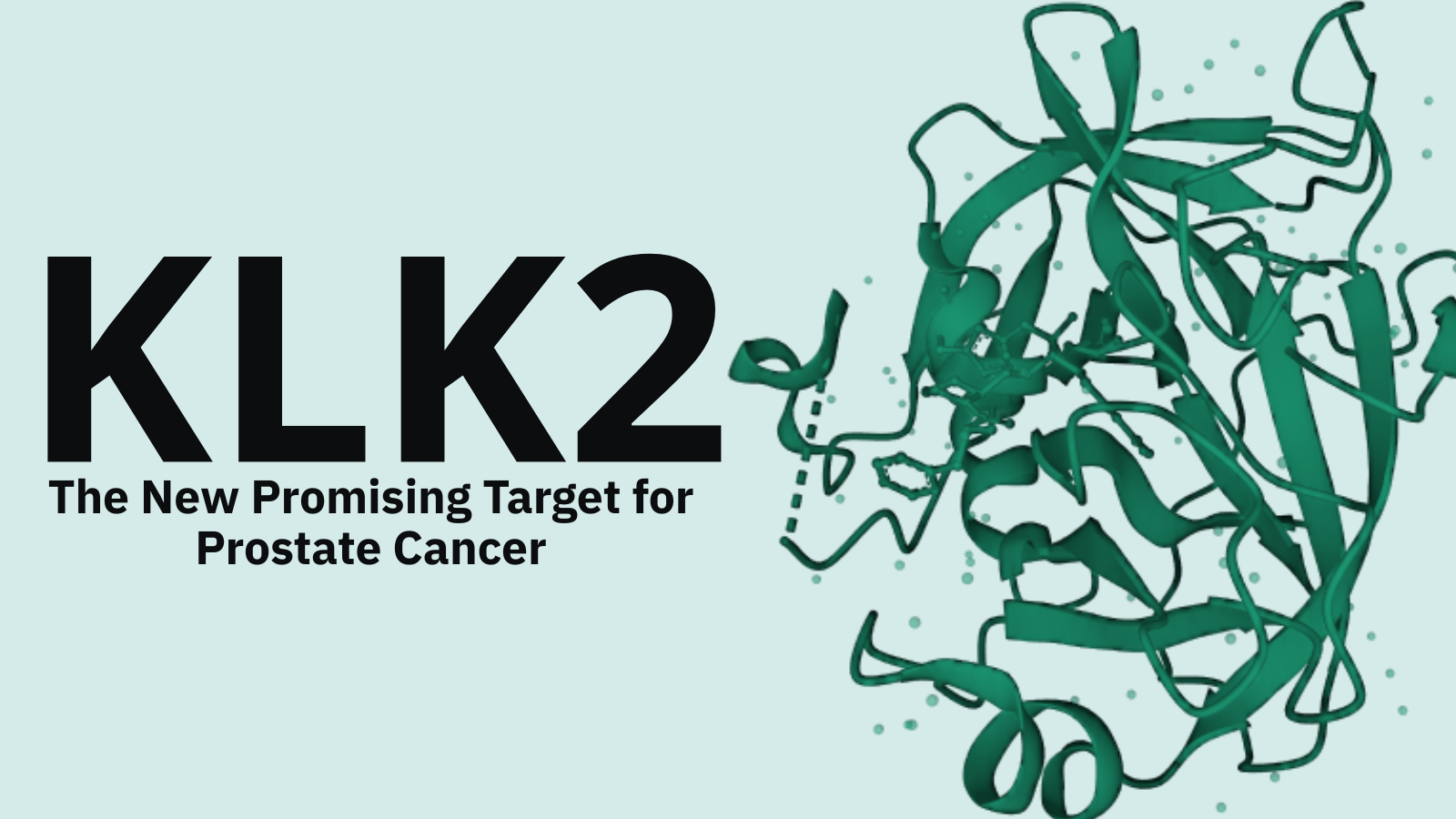 KLK2: The New Promising Target for Prostate Cancer
