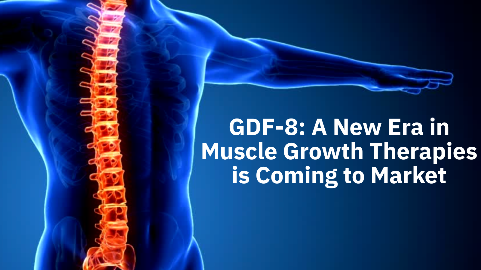GDF-8: A New Era in Muscle Growth Therapies is Coming to Market