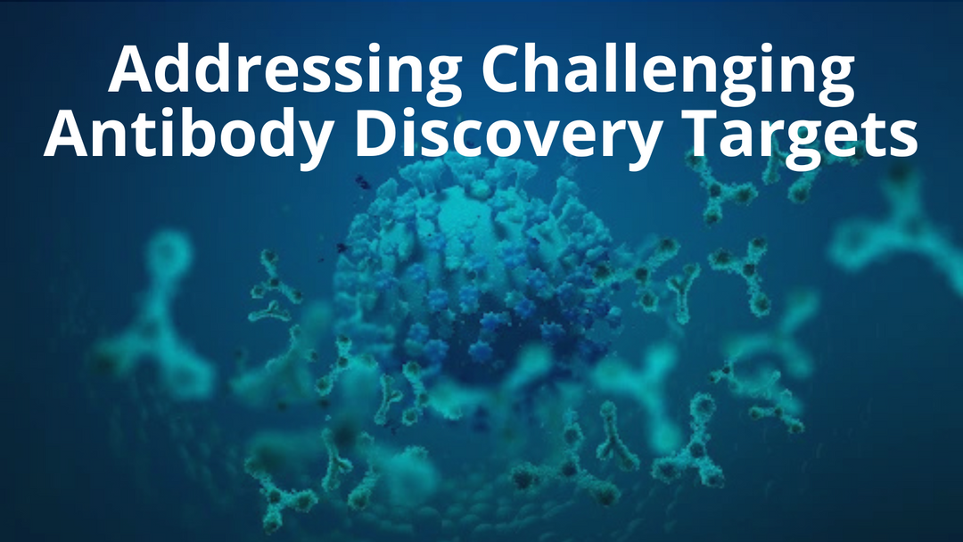 Addressing Challenging Antibody Discovery Targets with Virus-like Particle (VLP) Transmembrane Proteins