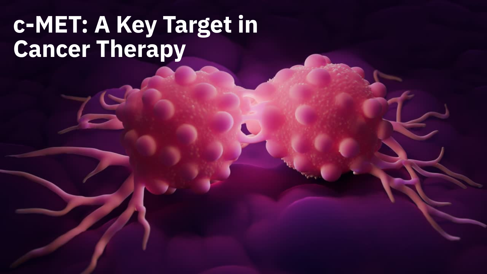 c-MET: A Key Target in Cancer Therapy