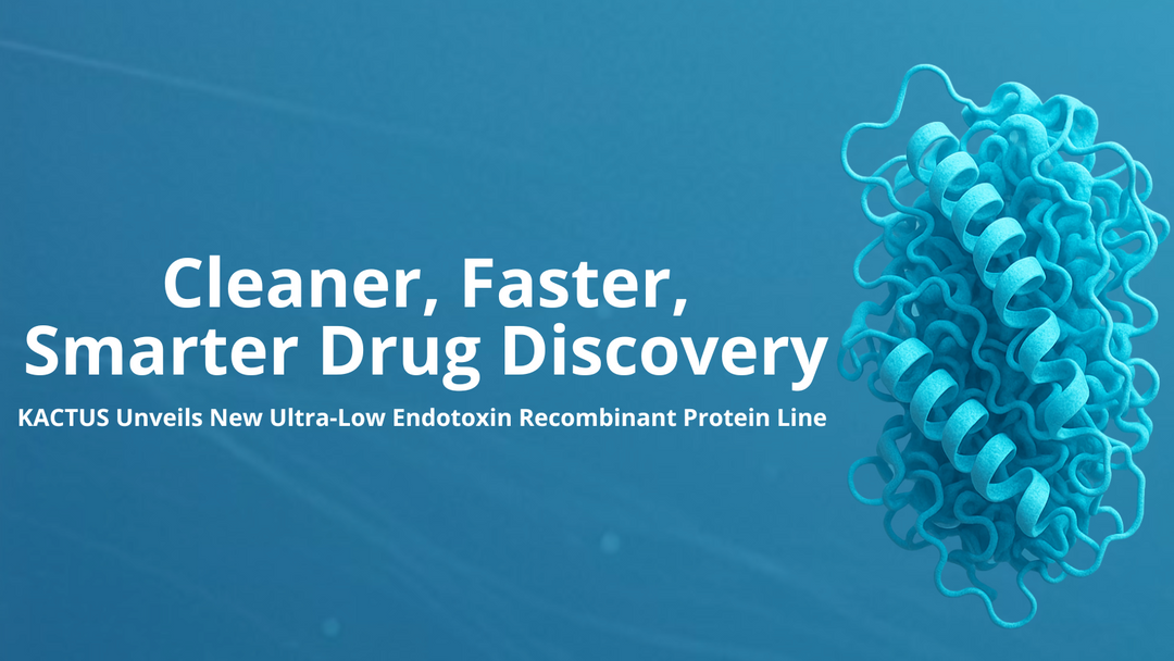 KACTUS Unveils Ultra-low Endotoxin Recombinant Protein Line — Powering Cleaner, Faster, Smarter Drug Discovery