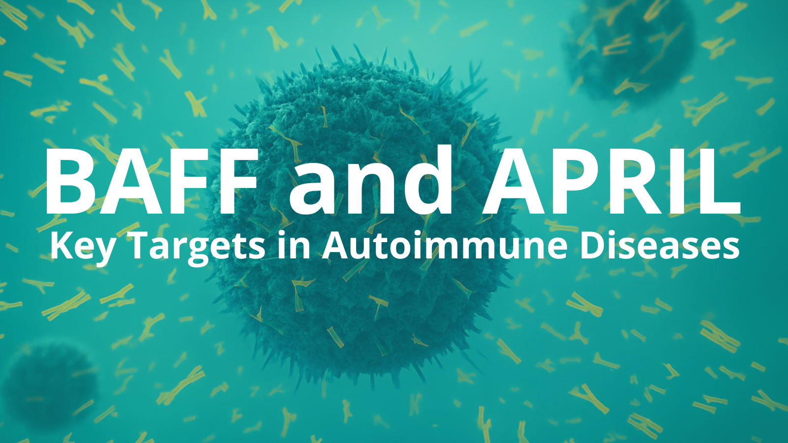 BAFF and APRIL: Key Targets in Autoimmune Diseases and a Review of Dual- and Single-Target Inhibitors