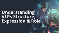 Virus-like Particles: What they are and what they can do in Antibody Discovery
