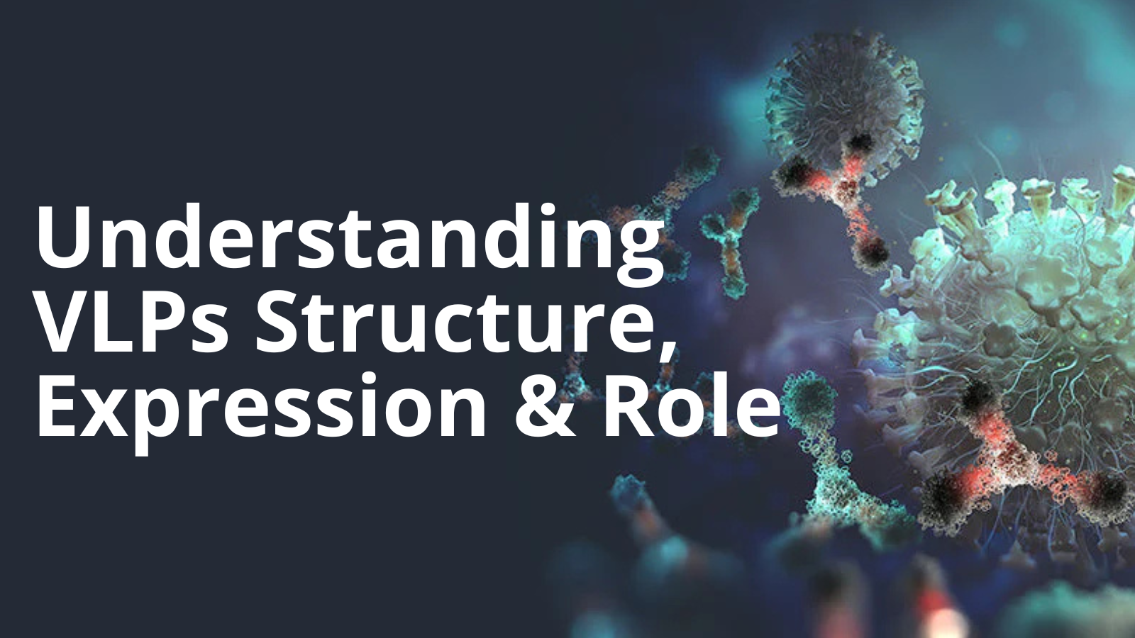 Virus-Like Particles (VLPs): Understanding their Structure, Expression, and Role in Immune Response