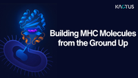 The History of Refolding MHCs: Building MHC Molecules from the Ground Up
