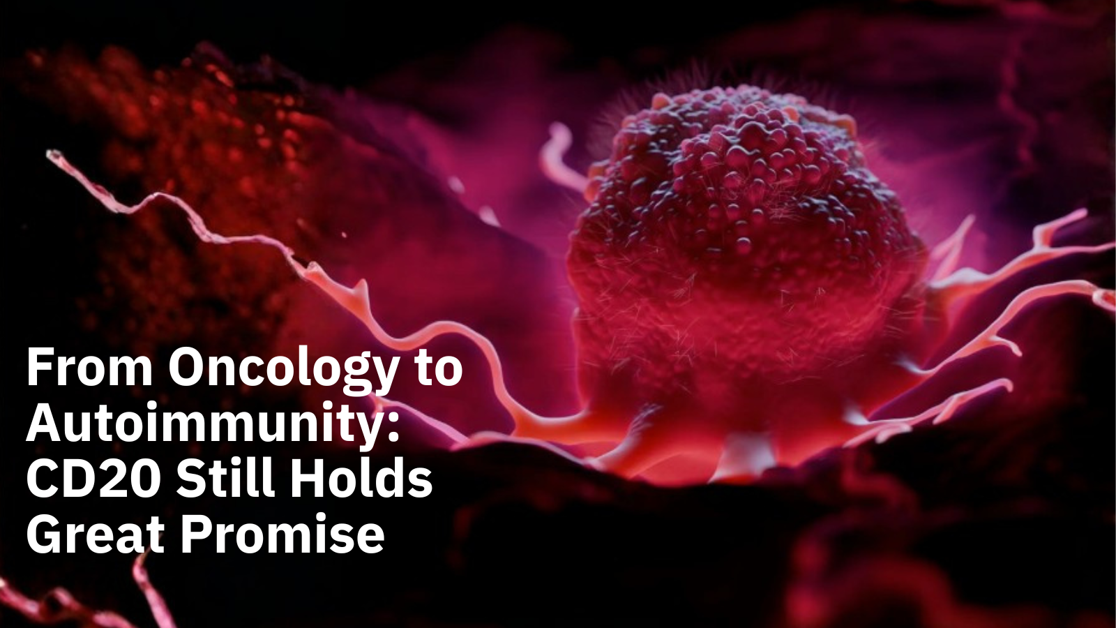 From Oncology to Autoimmunity: The “Old” Target CD20 Still Holds Great Promise