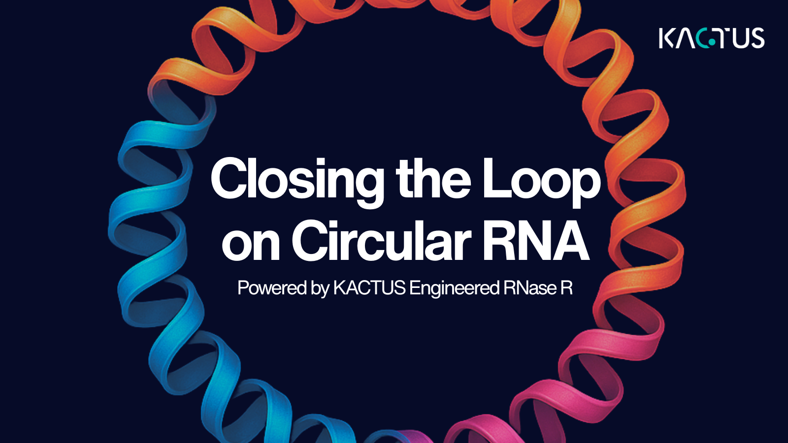 Optimizing Large-scale Circular RNA Process with KACTUS Engineered RNase R