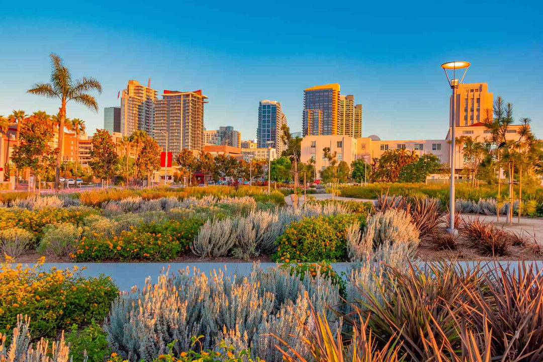 PepTalk 2024 in San Diego