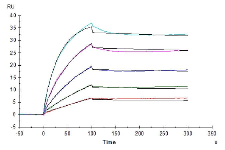 Human Beta Klotho Protein, Ultra Low Endotoxin (KLB-HM101-UL)