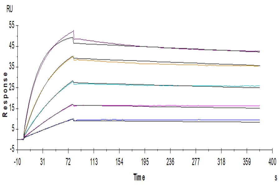 Human CDCP1 Protein, Ultra Low Endotoxin (CDC-HM101-UL)