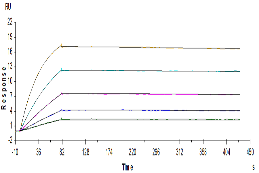 Human IL-18BP Protein, Ultra Low Endotoxin (IL8-HM2BP-UL)