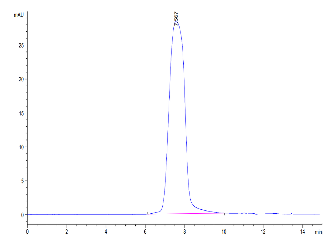 Biotinylated Human CX3CL1/Fractalkine Protein (CX3-HM401B)