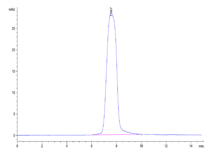 Biotinylated Human CX3CL1/Fractalkine Protein (CX3-HM401B)